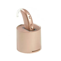 Аппарат слуховой Сопрано 12SP PR (марка)